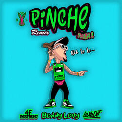Pinche Party