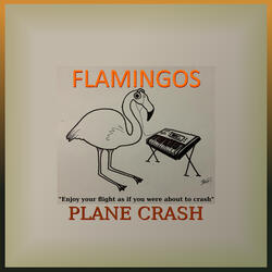 Plane Crash 1037