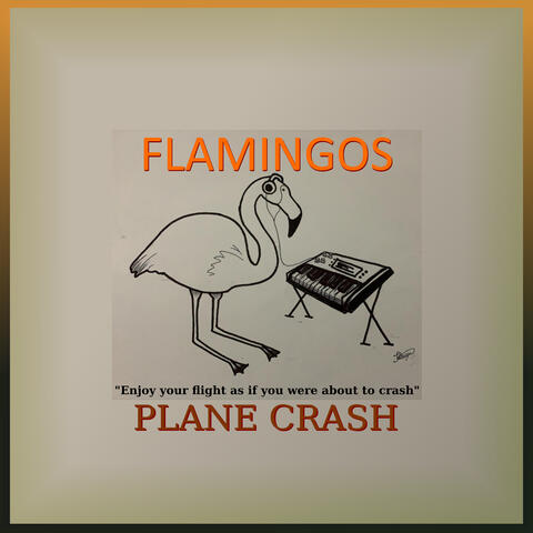 Plane Crash 1037
