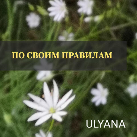 По своим правилам