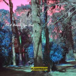 En el Bosque Type Beat