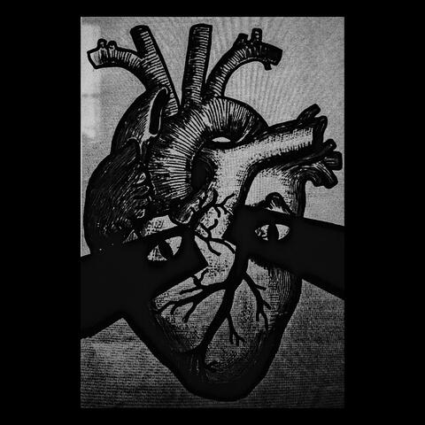Heads Hearts