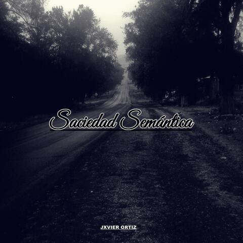 Saciedad Semántica