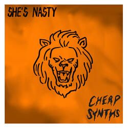 She's Nasty