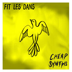Fit Les Dans