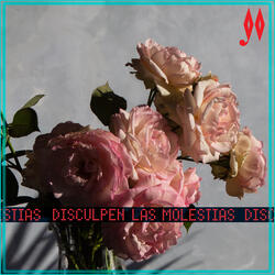 Disculpen las Molestias