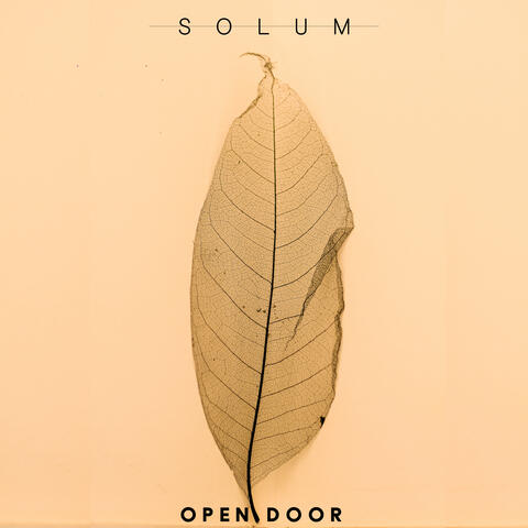 Solum