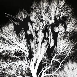 Я видел сны