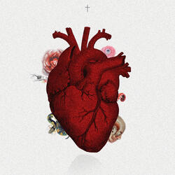 No Es Vicio Si No Hábito