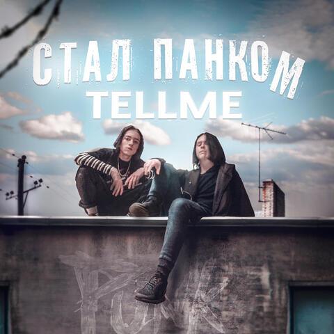 Стал панком