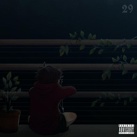 29