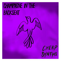 Champagne in the Backseat