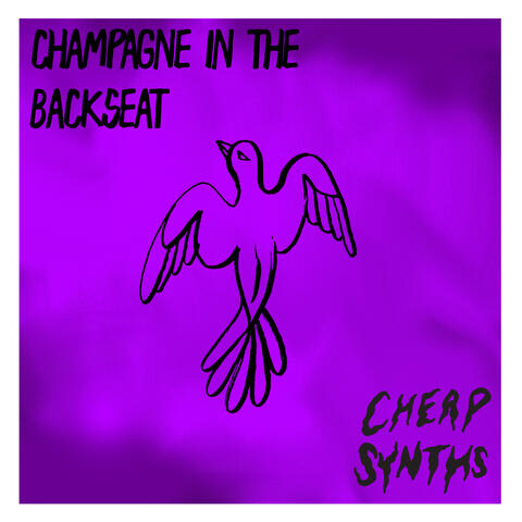 Champagne in the Backseat