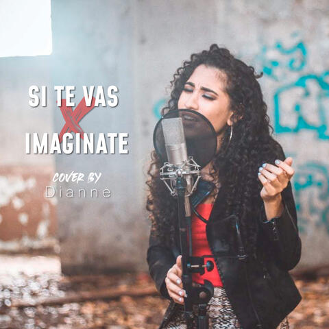 Si Te Vas, Imaginate