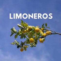 Limoneros