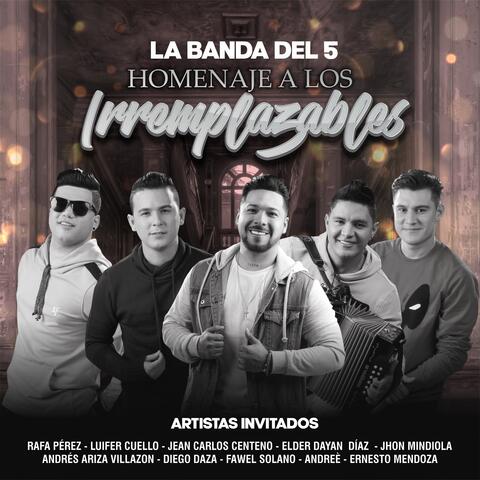 Homenaje a los Irremplazables