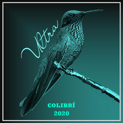 Colibrí