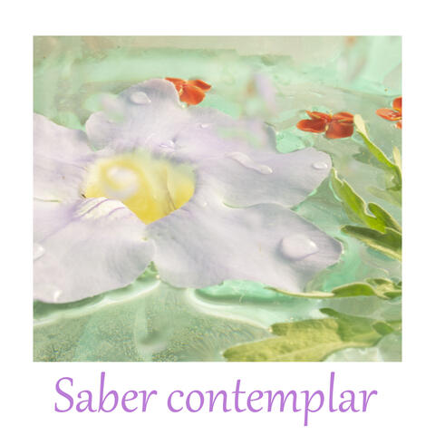 Saber Contemplar