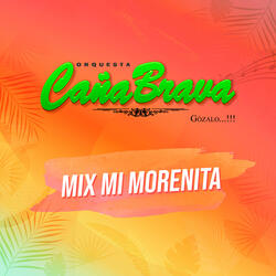 Mix Mi Morenita: Mi Morenita / Tienes Que Regresar / Lloró Mi Corazón