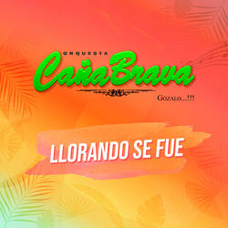 Llorando Se Fue