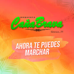 Ahora Te Puedes Marchar