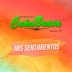 Mis Sentimientos