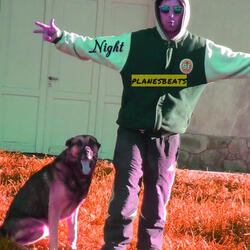 Night