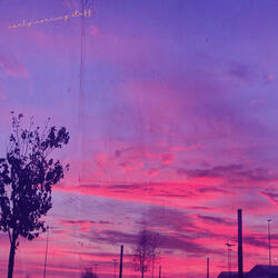Early Morning Stuff
