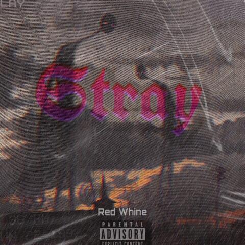 Stray