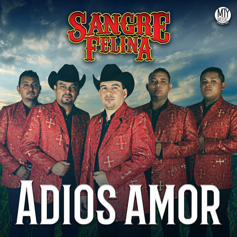 Adiós Amor