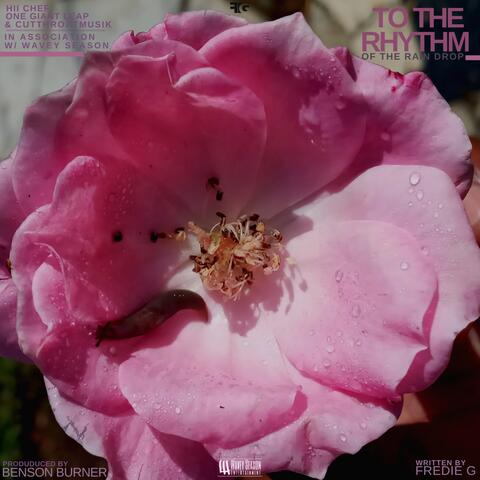 To the Rhythm of the Rain Drop