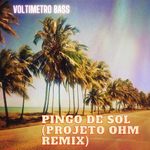 Pingo de Sol