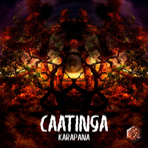Caatinga