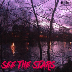See the Stars