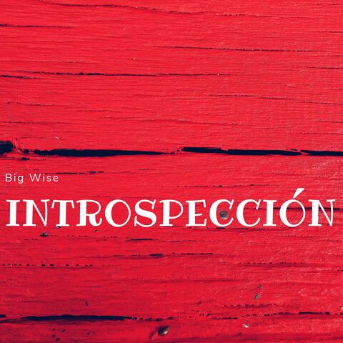 Introspección
