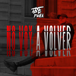 No Voy a Volver