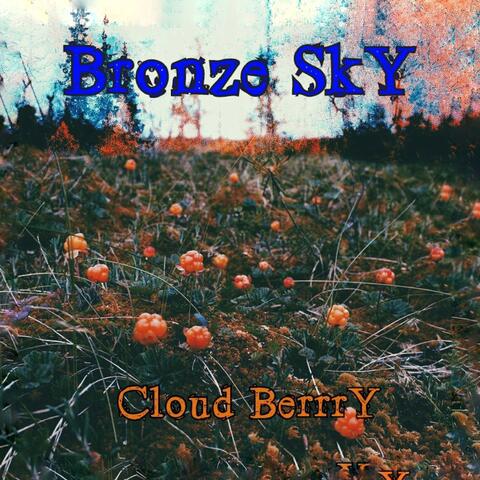Cloud Berrry