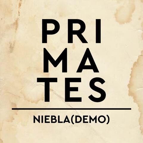 Niebla