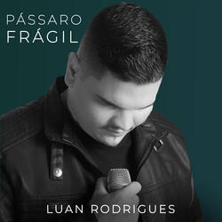 Pássaro Frágil