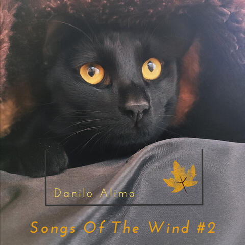 Songs of the Wind #2