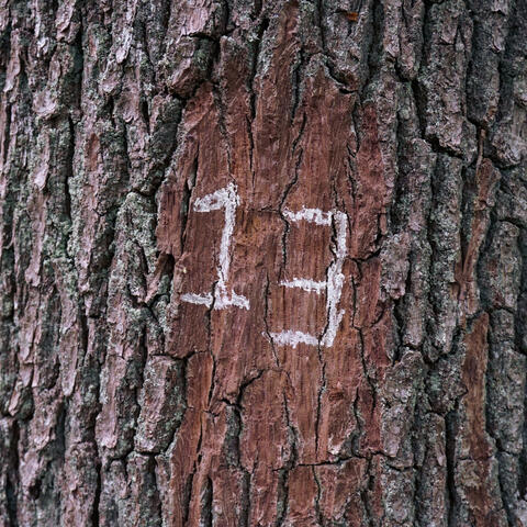 Triskaidekaphobia
