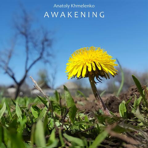 Awakening
