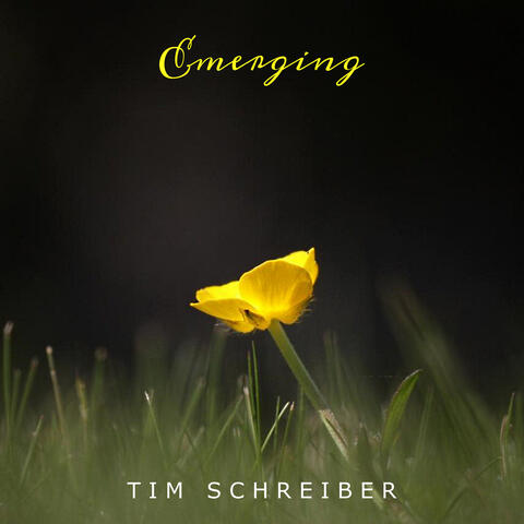 Tim Schreiber