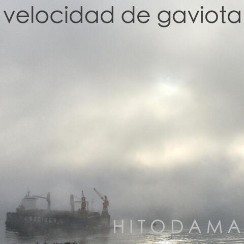 Velocidad de Gaviota