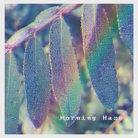 Morning Haze