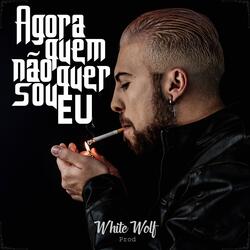 Agora Quem Não Quer Sou Eu