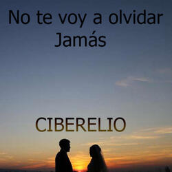 No Te Voy a Olvidar Jamas