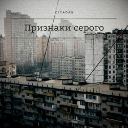 Признаки серого