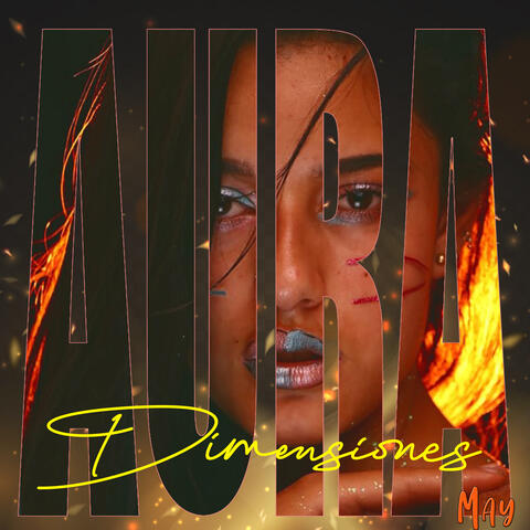 Dimensiones