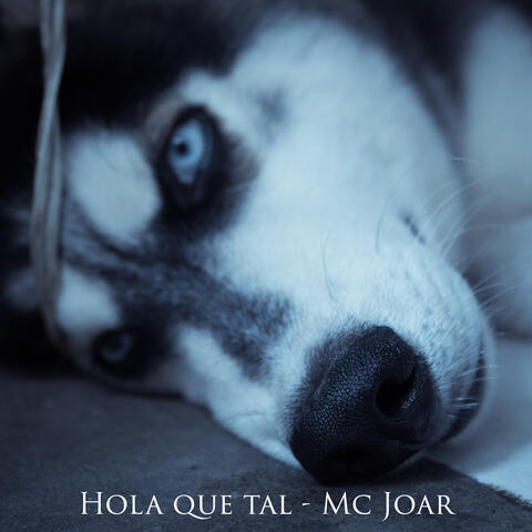 Hola Que Tal